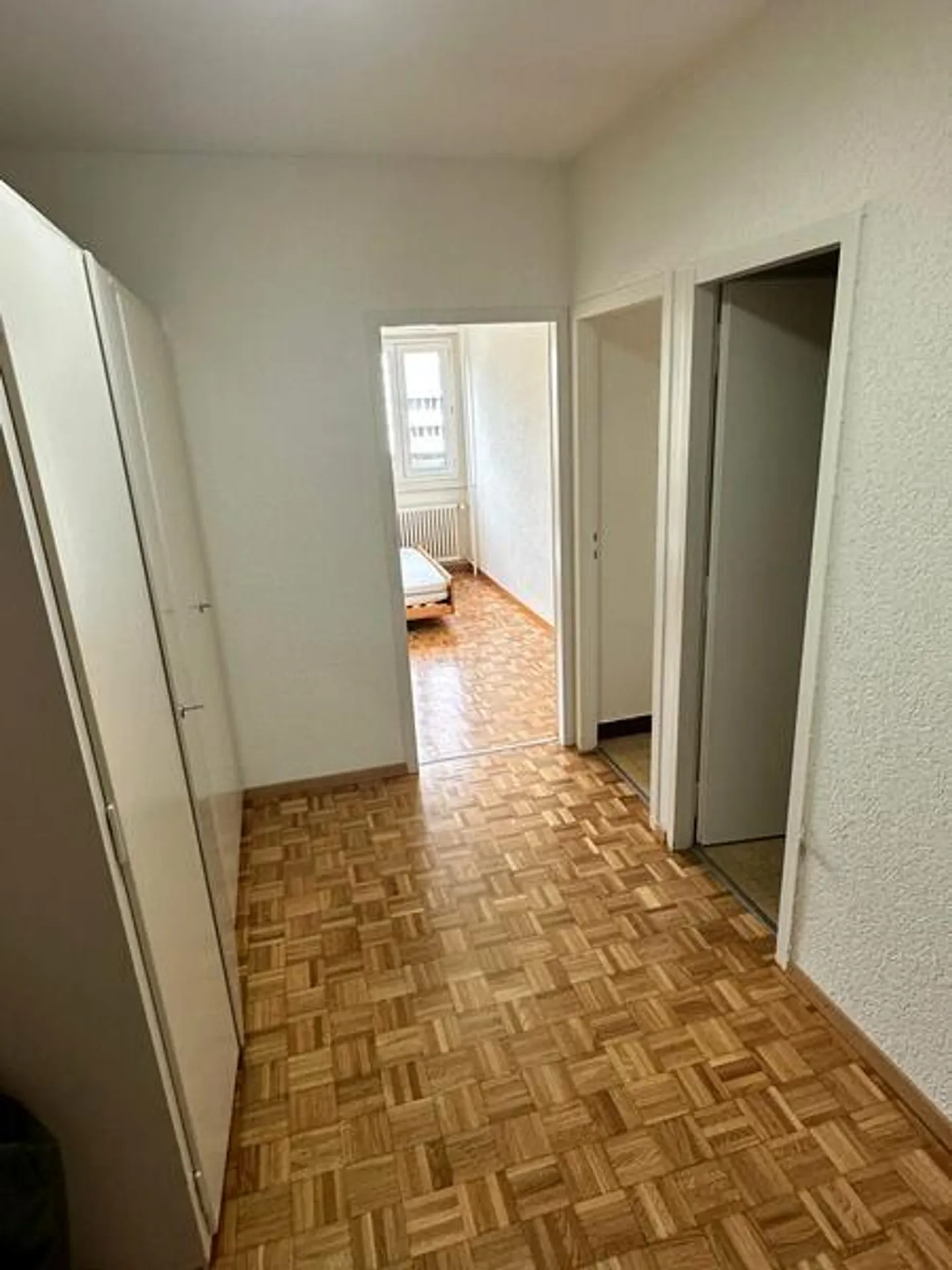 3-ROOM APARTMENT IN GRAND-LANCY (GE), FURNISHED - Photo 3 of 8