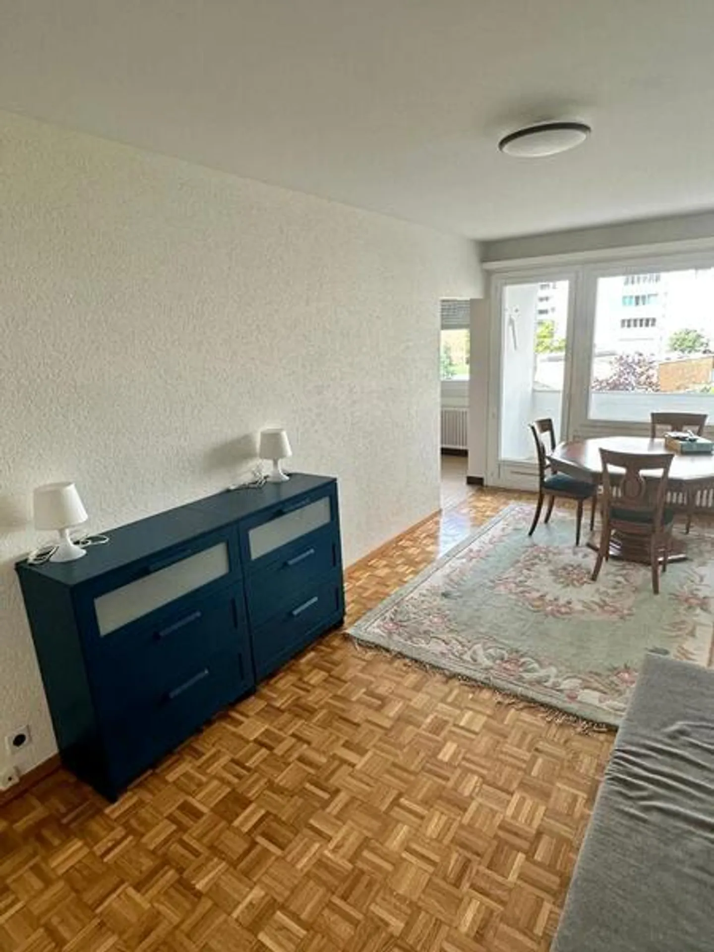 3-ROOM APARTMENT IN GRAND-LANCY (GE), FURNISHED - Photo 6 of 8