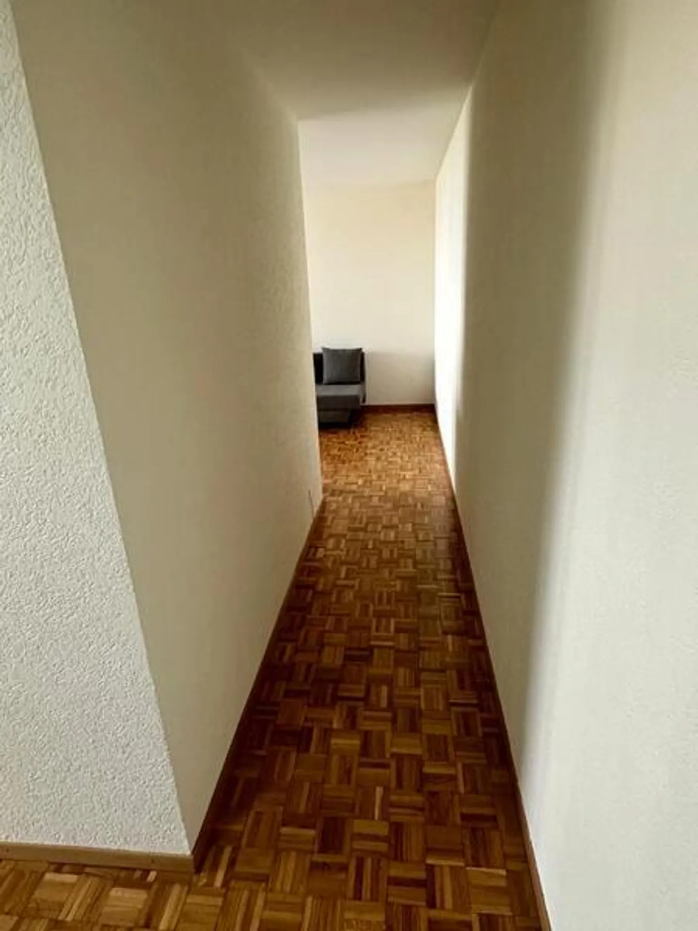 3-ROOM APARTMENT IN GRAND-LANCY (GE), FURNISHED - Photo 7 of 8