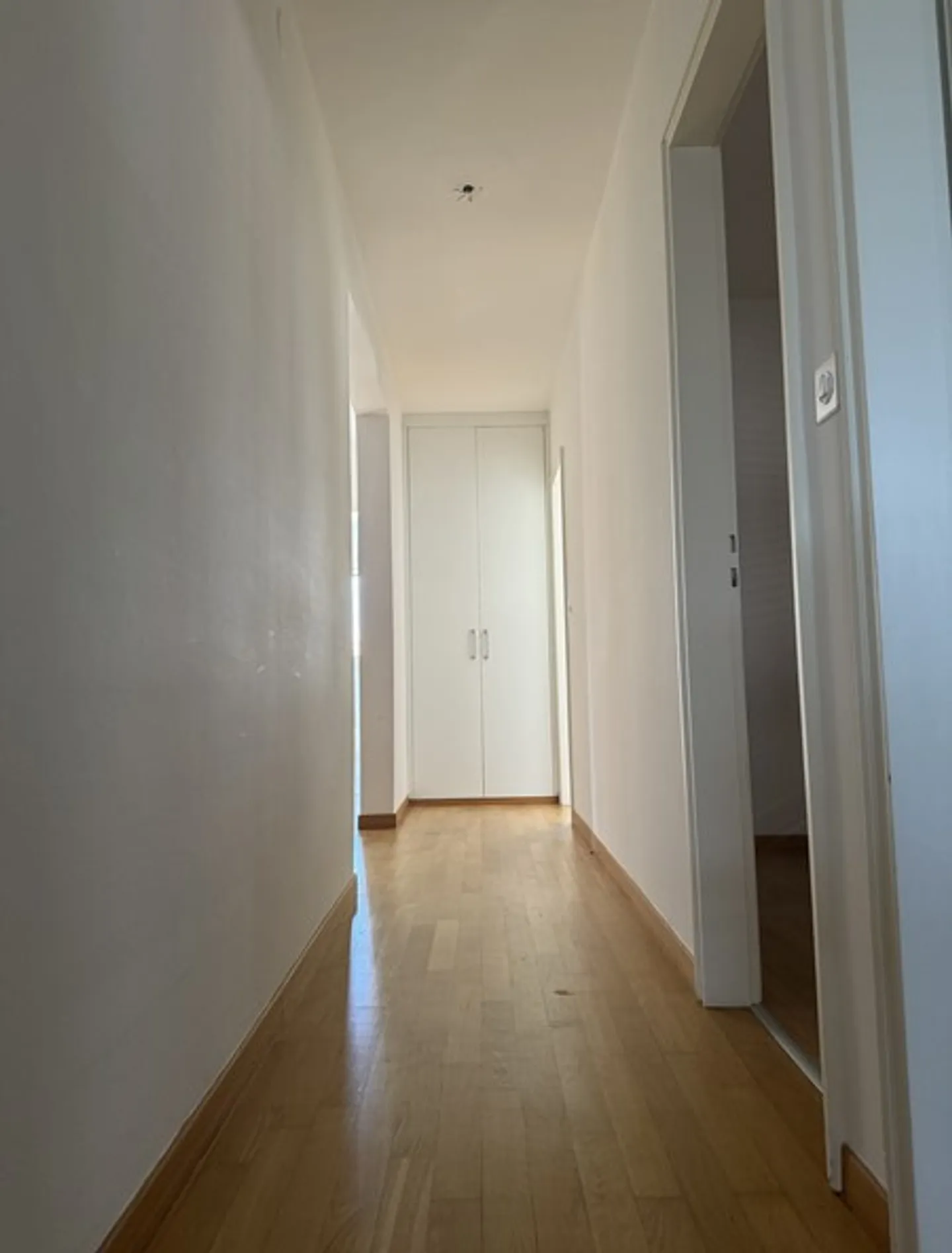 Bel appartement de 4,5 pièces avec vue sur le lac à Melide - Photo 5 sur 11