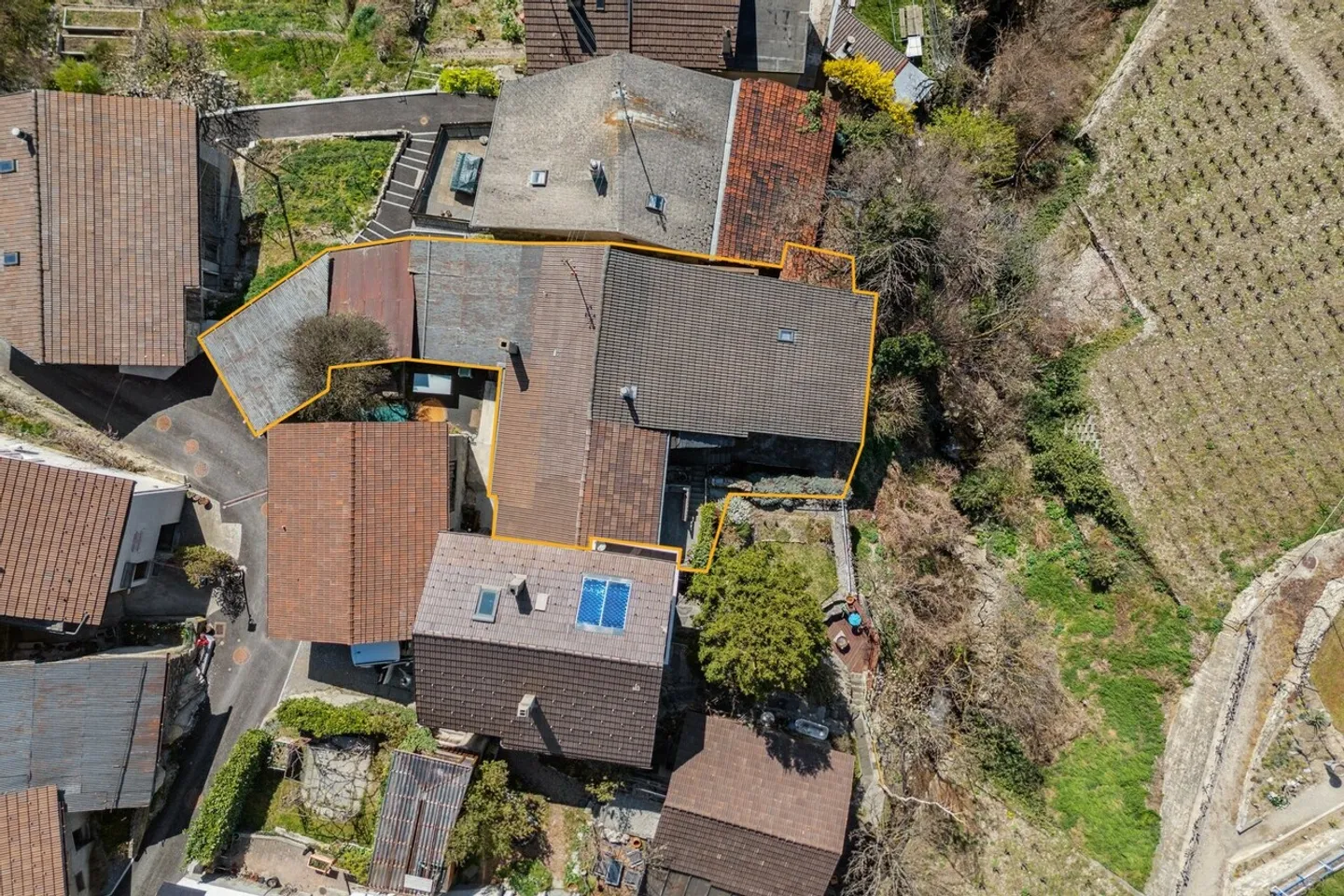 Casa singola in affitto - Foto 9 di 9