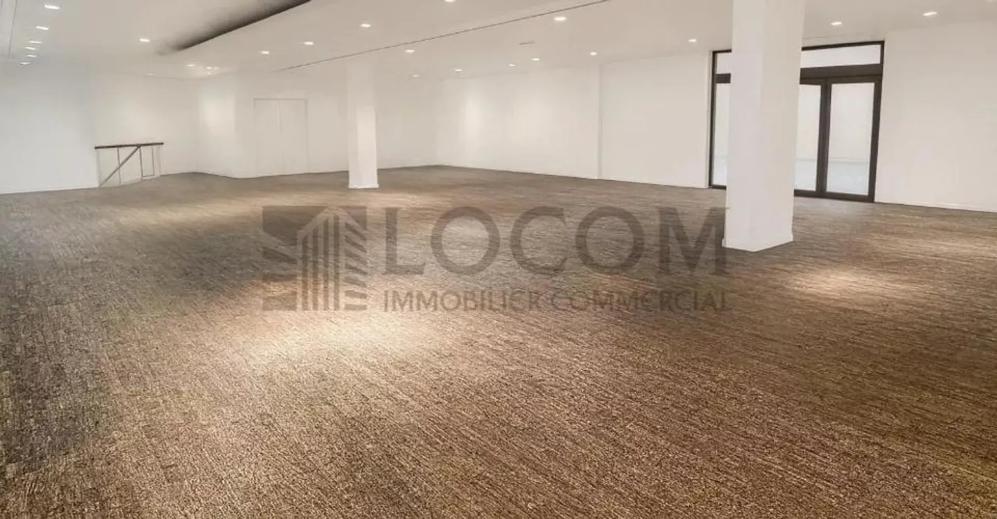 Exklusiv im Hyperzentrum von Lausanne - Foto 5 von 11