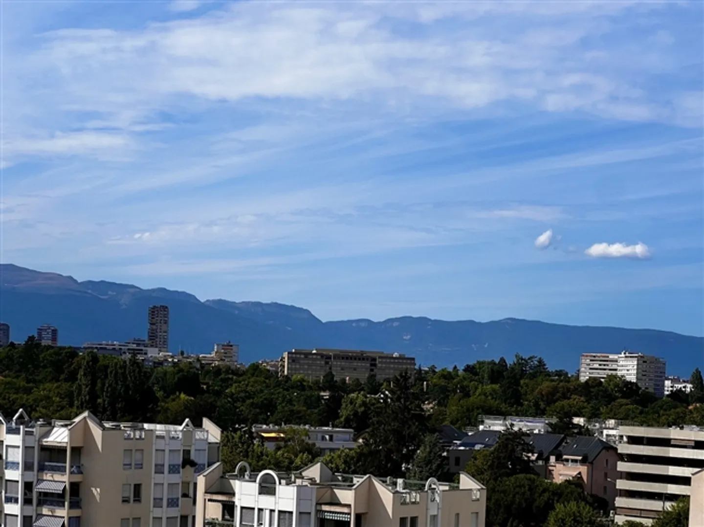 6027.A Grand-Lancy Penthouse with 6 Bedrooms to Renovate, View and Terrace - Photo 4 of 7