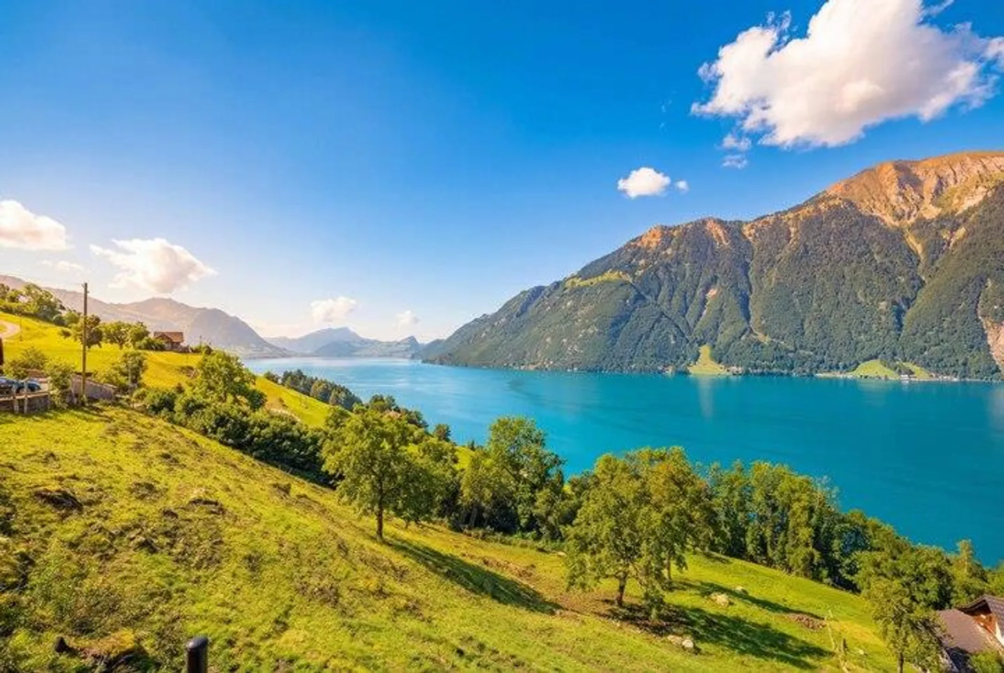 Terrain de construction exceptionnel à Seelisberg - Photo 4 sur 8