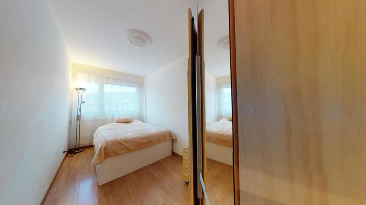 4-ROOM APARTMENT IN GENEVA - LANCY, FURNISHED - Photo 4 of 10