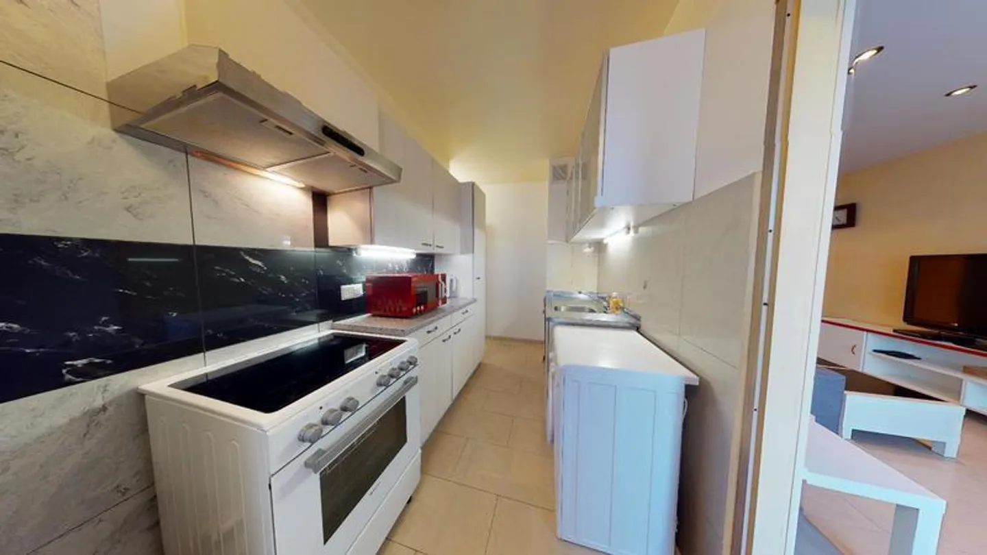 4-ROOM APARTMENT IN GENEVA - LANCY, FURNISHED - Photo 8 of 10