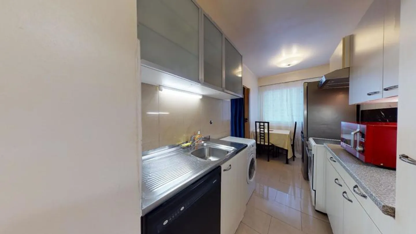 4-ROOM APARTMENT IN GENEVA - LANCY, FURNISHED - Photo 5 of 10