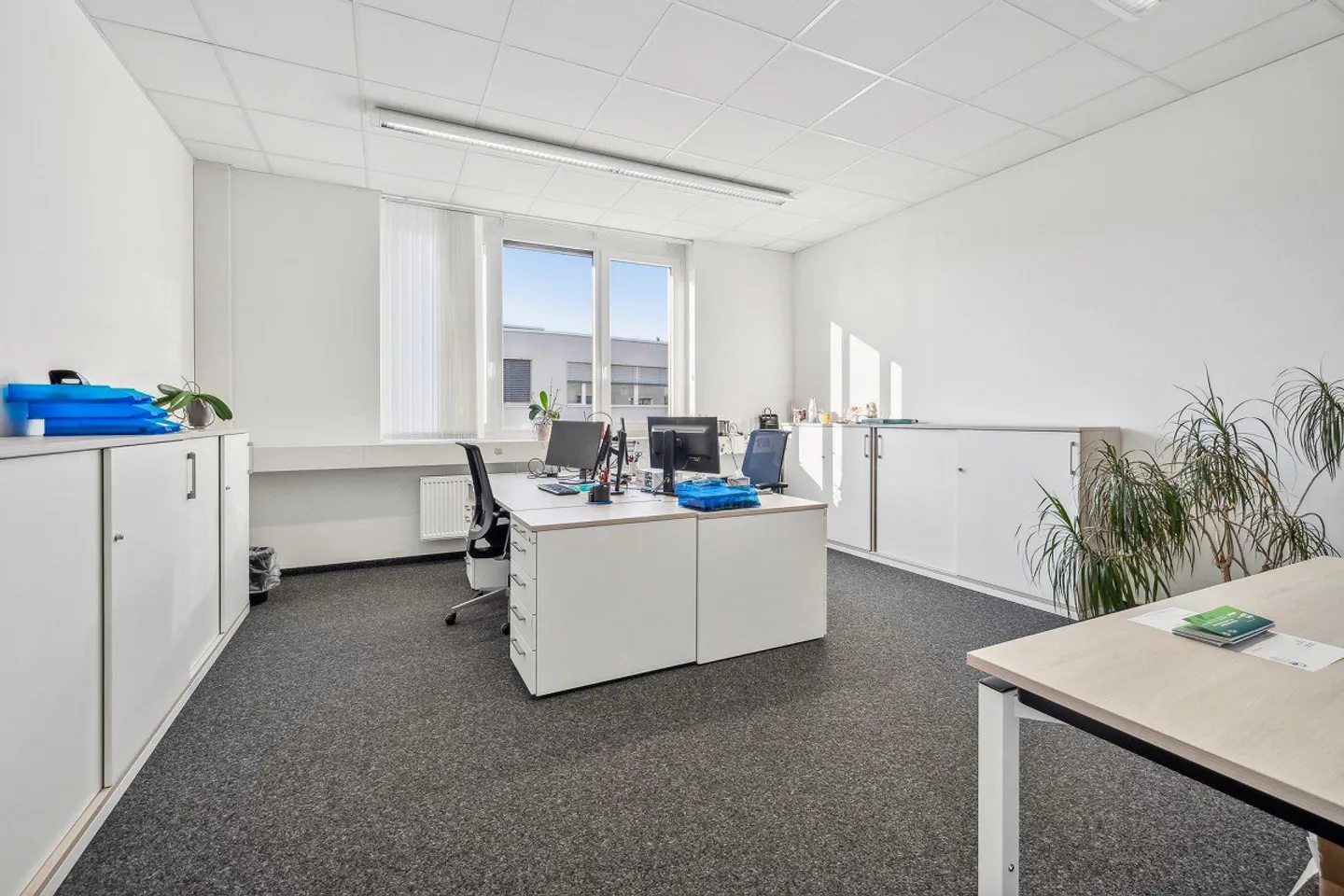 Working with a View: Office with Large Terrace and Parking Spaces - Photo 3 of 7
