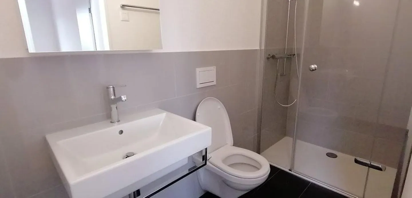 Modern, spacious 4.5-room apartment - Photo 11 of 12