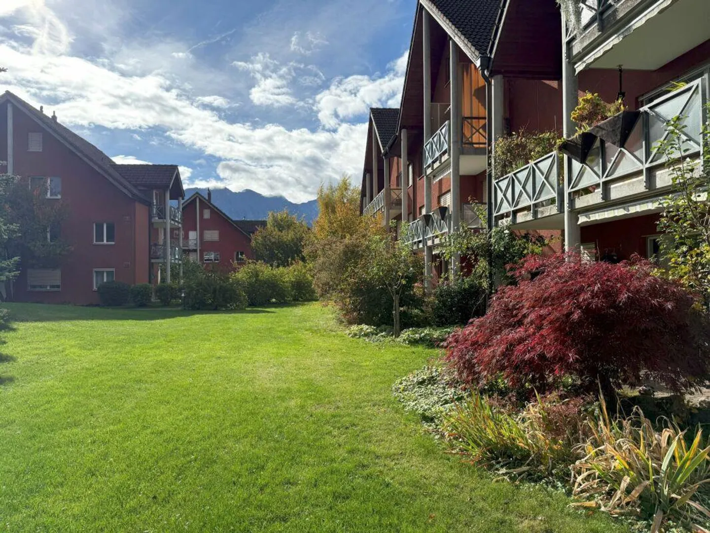 Appartamento al piano terra luminoso e accogliente con giardino - Foto 3 di 14