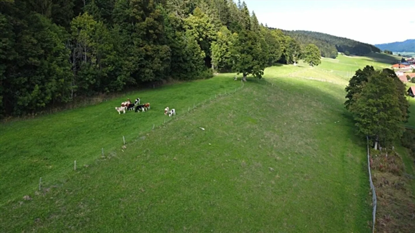 «Herrliche neue freistehende Villa mit 5,5 Zimmern und Aussicht!» - Foto 17 von 17