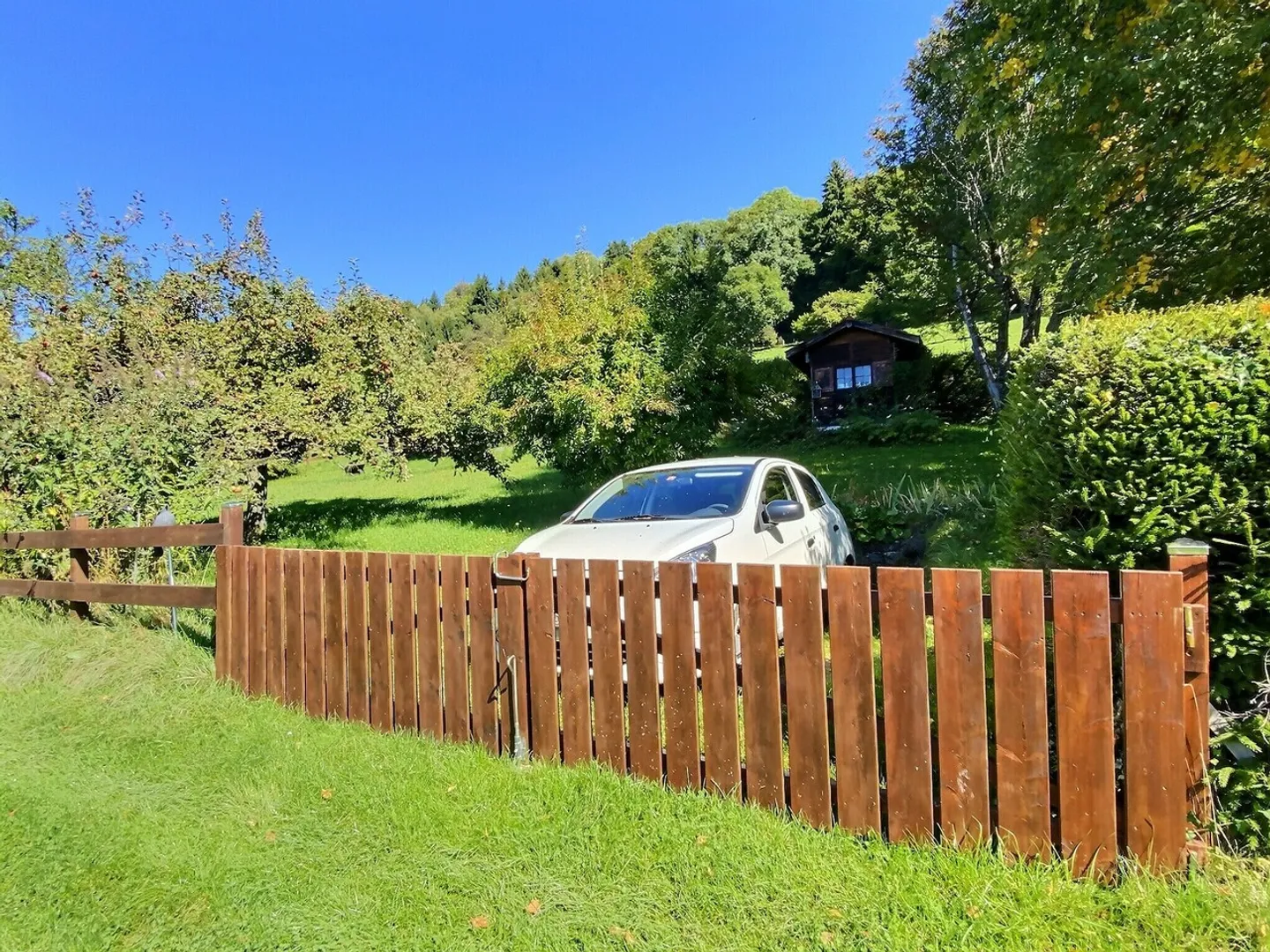 25 17 Charming chalet in Panex - Photo 11 of 13