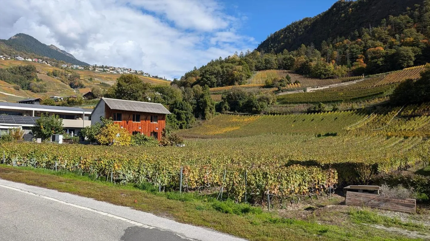 Vuisse (Savièse) – 3,5 stanze con un grande giardino esposto a sud-ovest - Foto 5 di 8