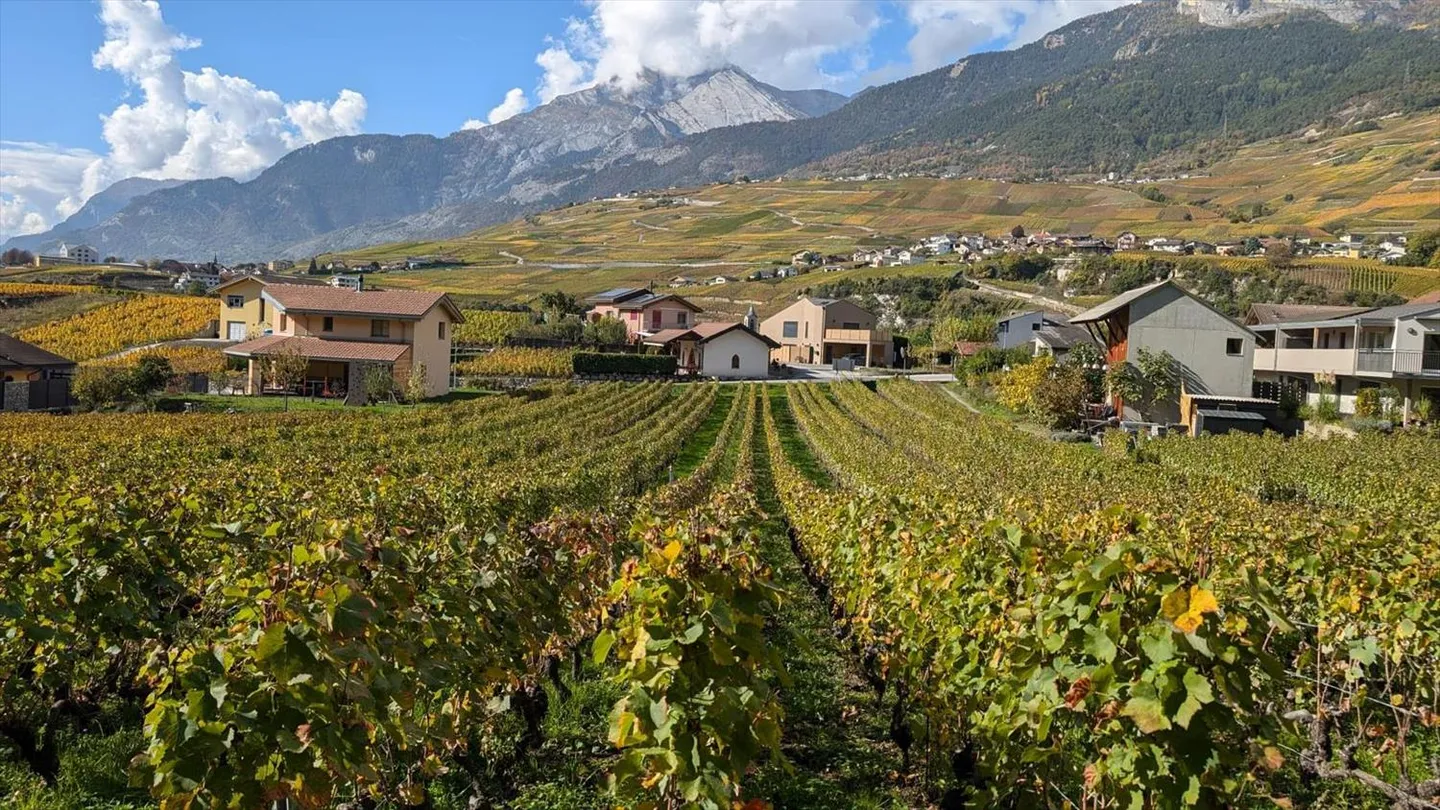 Vuisse (Savièse) – 3,5 stanze con un grande giardino esposto a sud-ovest - Foto 6 di 8