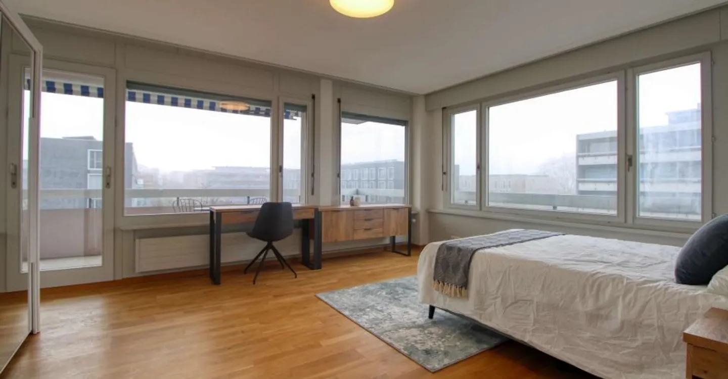 Comfortable Coliving in Geneva - Photo 3 of 16