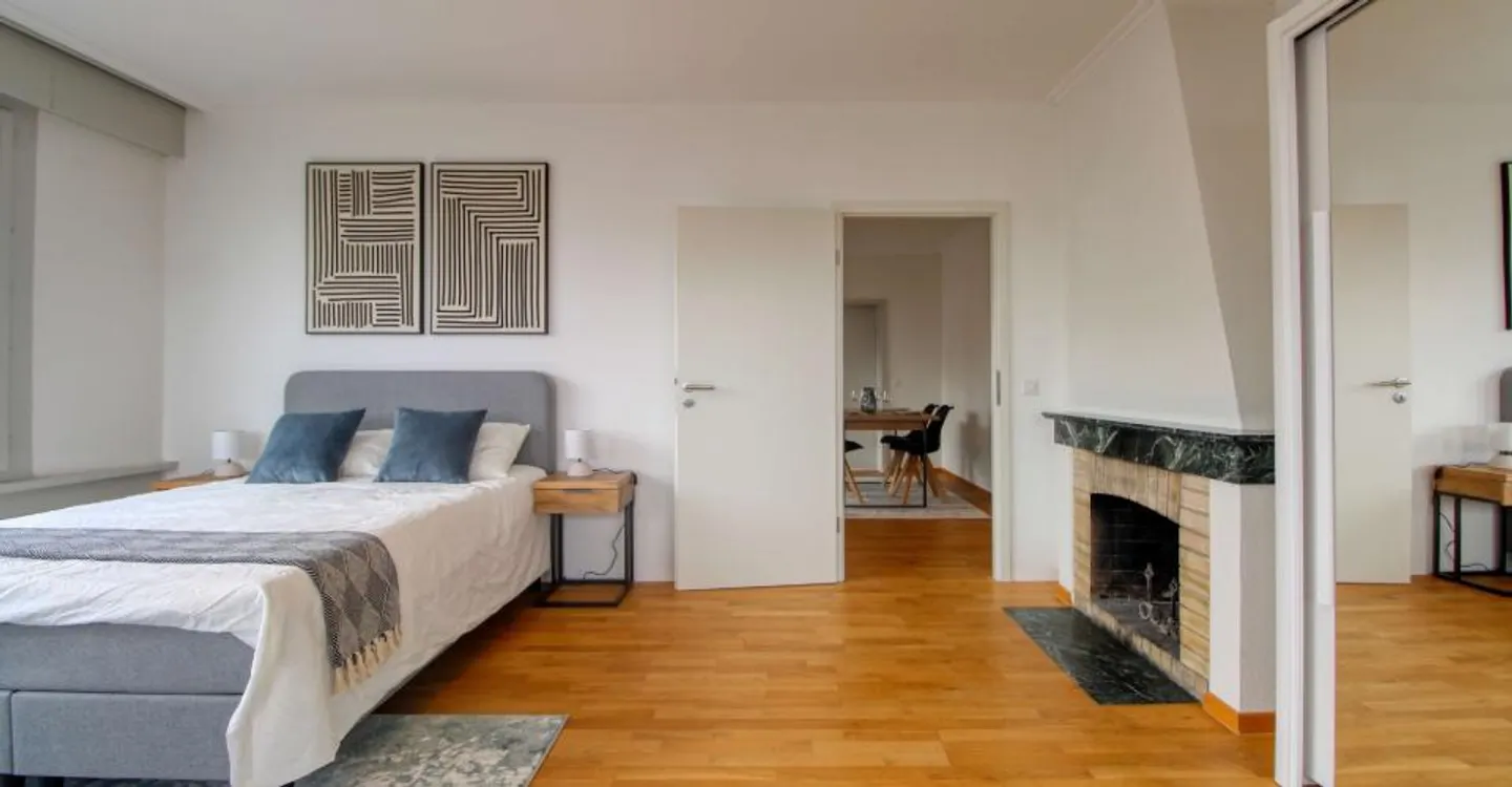 Comfortable Coliving in Geneva - Photo 4 of 16