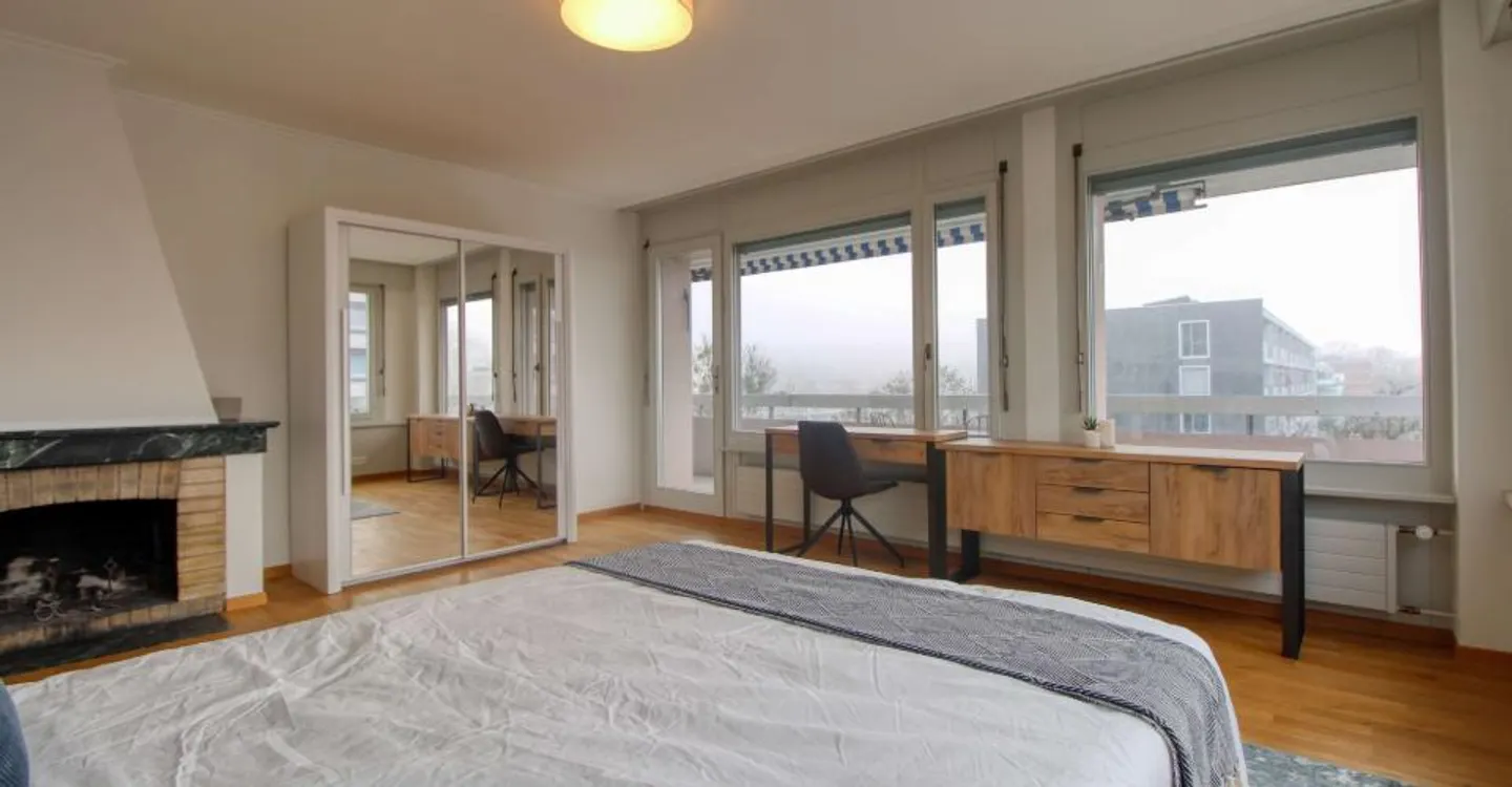 Comfortable Coliving in Geneva - Photo 5 of 16