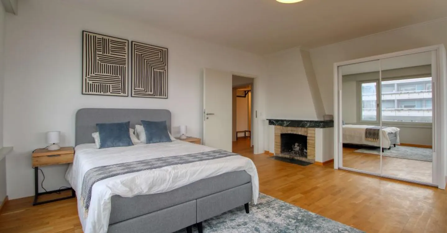 Comfortable Coliving in Geneva - Photo 1 of 16