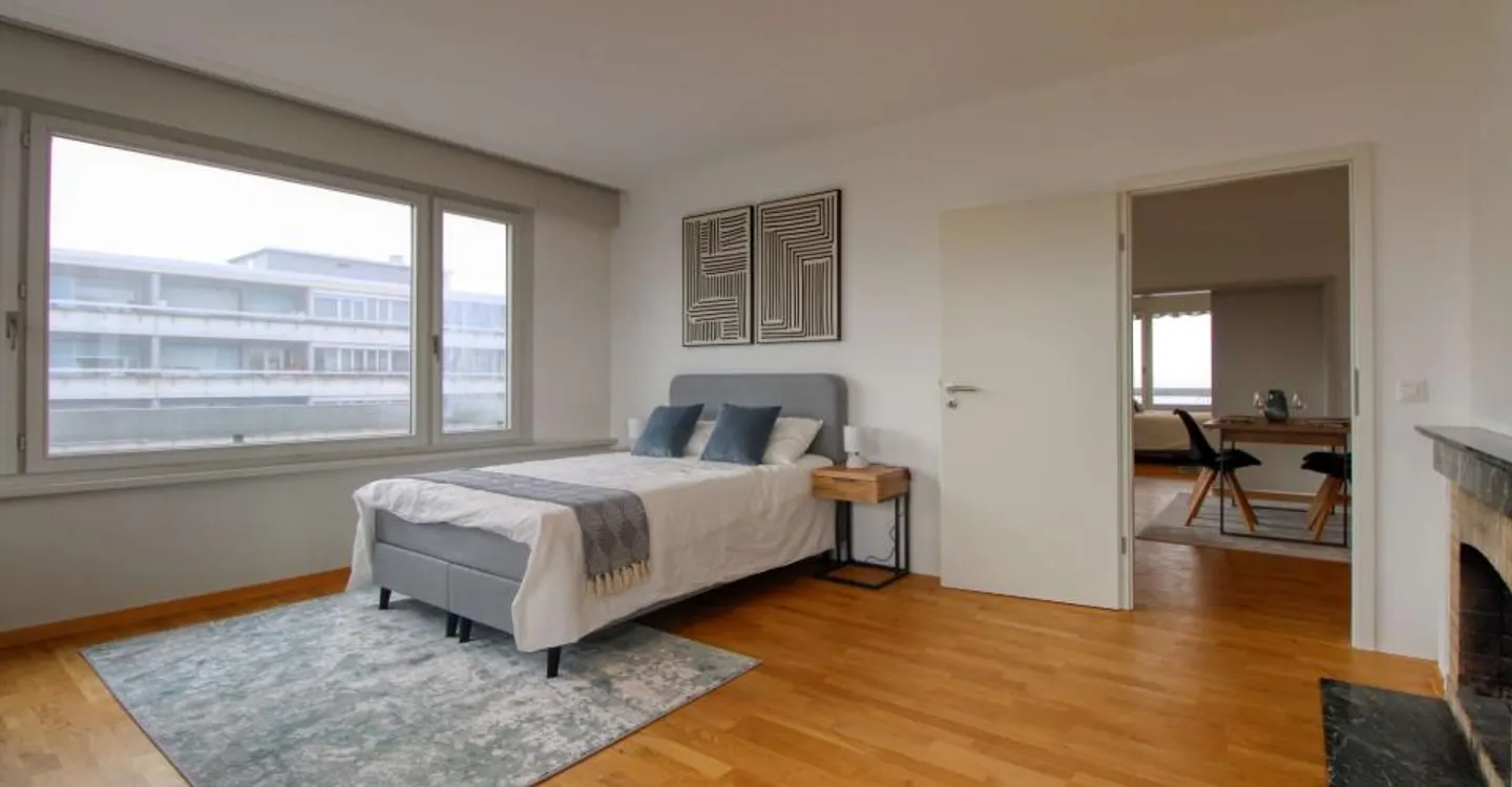Comfortable Coliving in Geneva - Photo 2 of 16