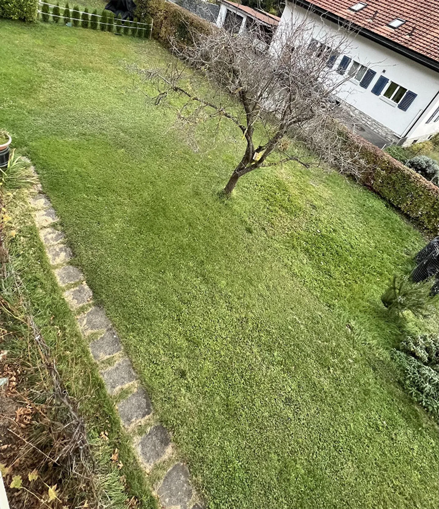 Gepflegte Altbauwohnung mit Garten sucht Sie - Foto 1 von 7