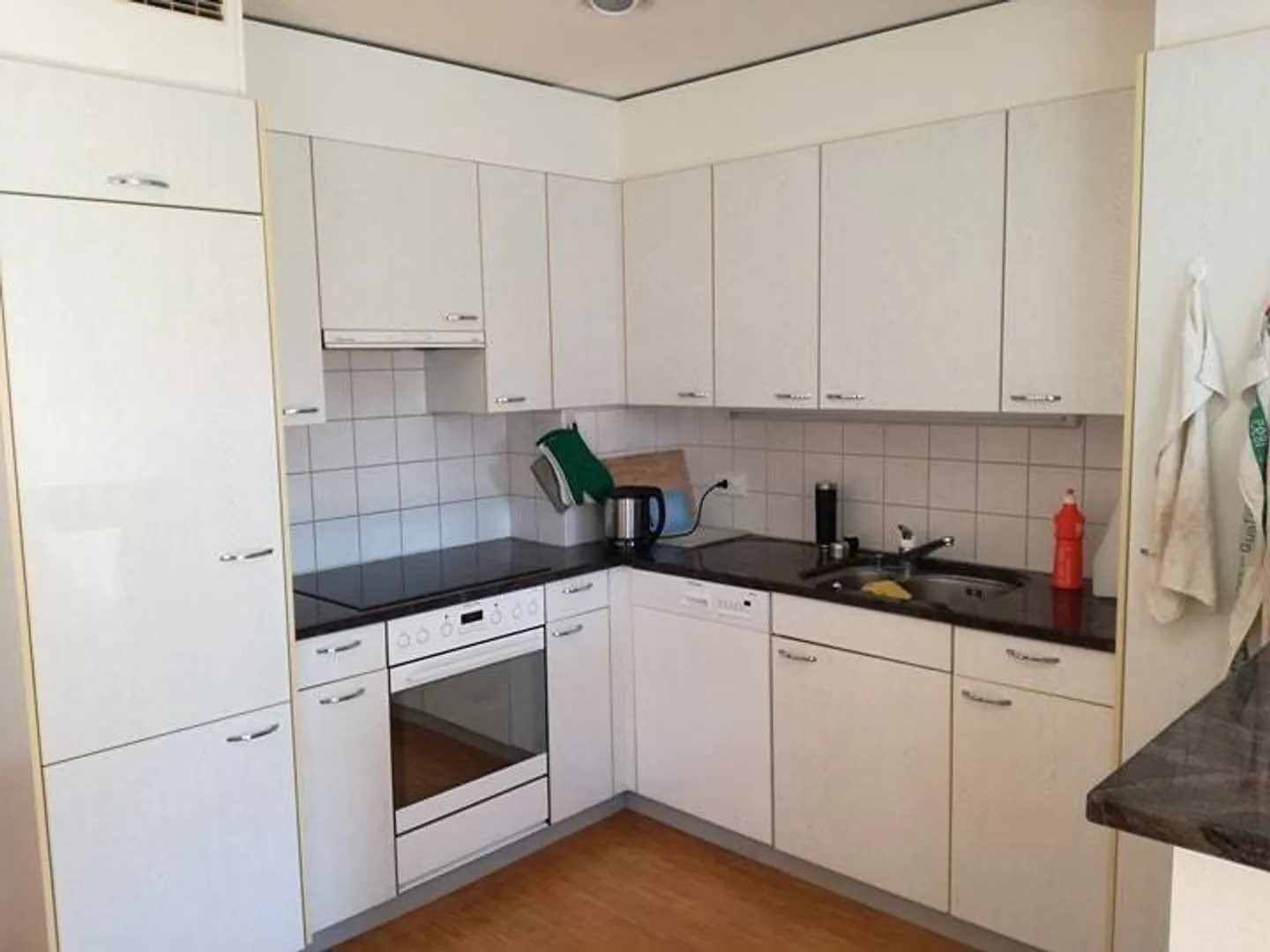 Appartamento 4.5 stanze - Foto 3 di 5