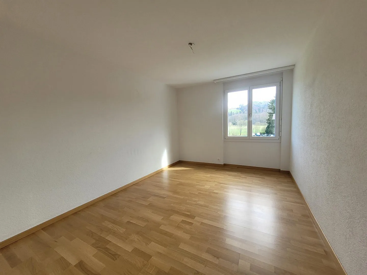 4.5 Room Apartment in a Beautiful Neighborhood - Photo 5 of 9