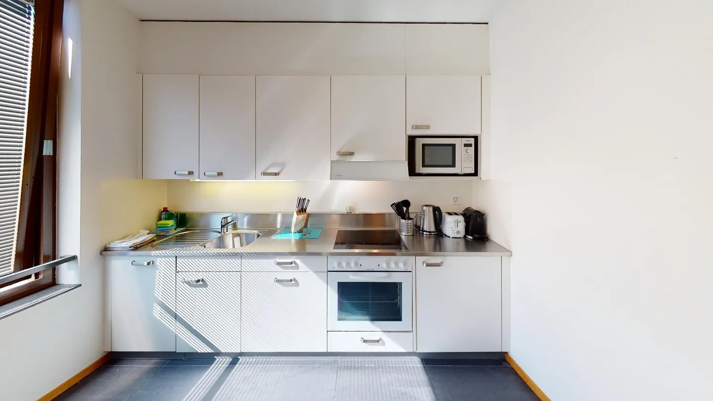 Unique Serviced Living @ Messe Basel Penthouse - Photo 6 of 12