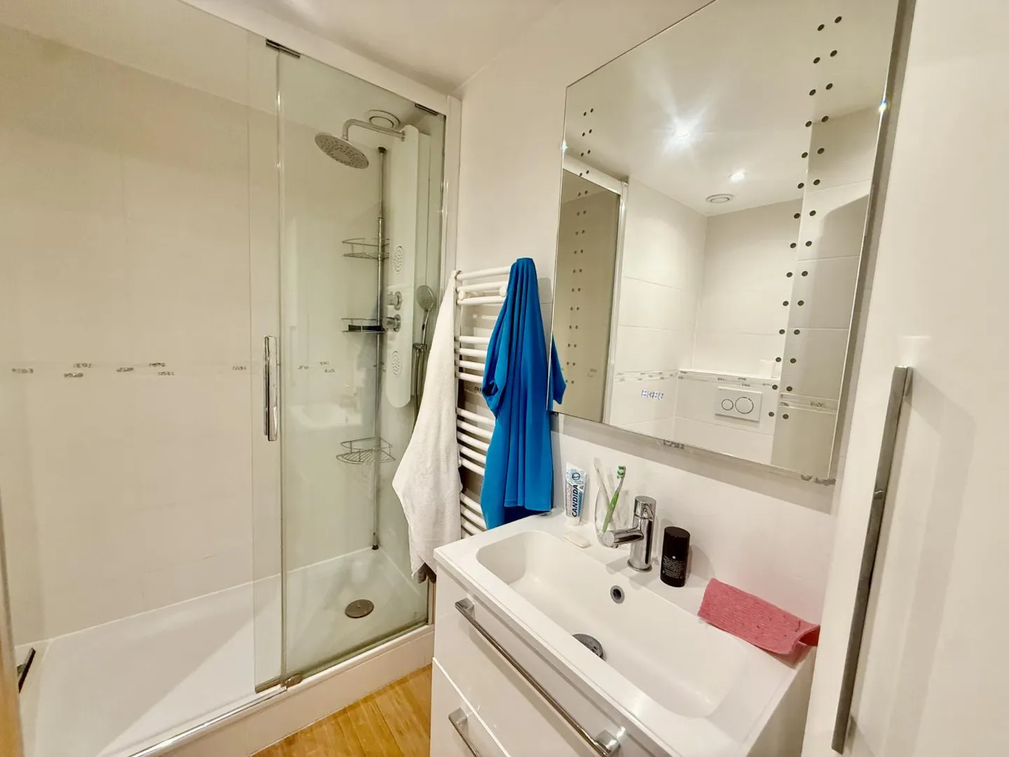 Magnifico appartamento di 4,5 locali a Eaux Vives - Foto 4 di 7