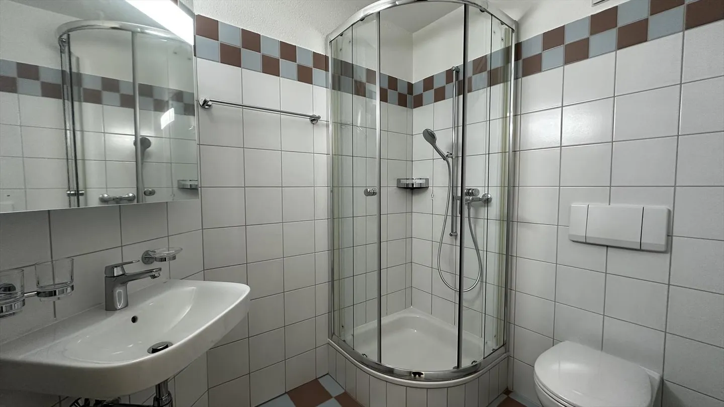 Attic 3.5 rooms - Photo 11 of 13