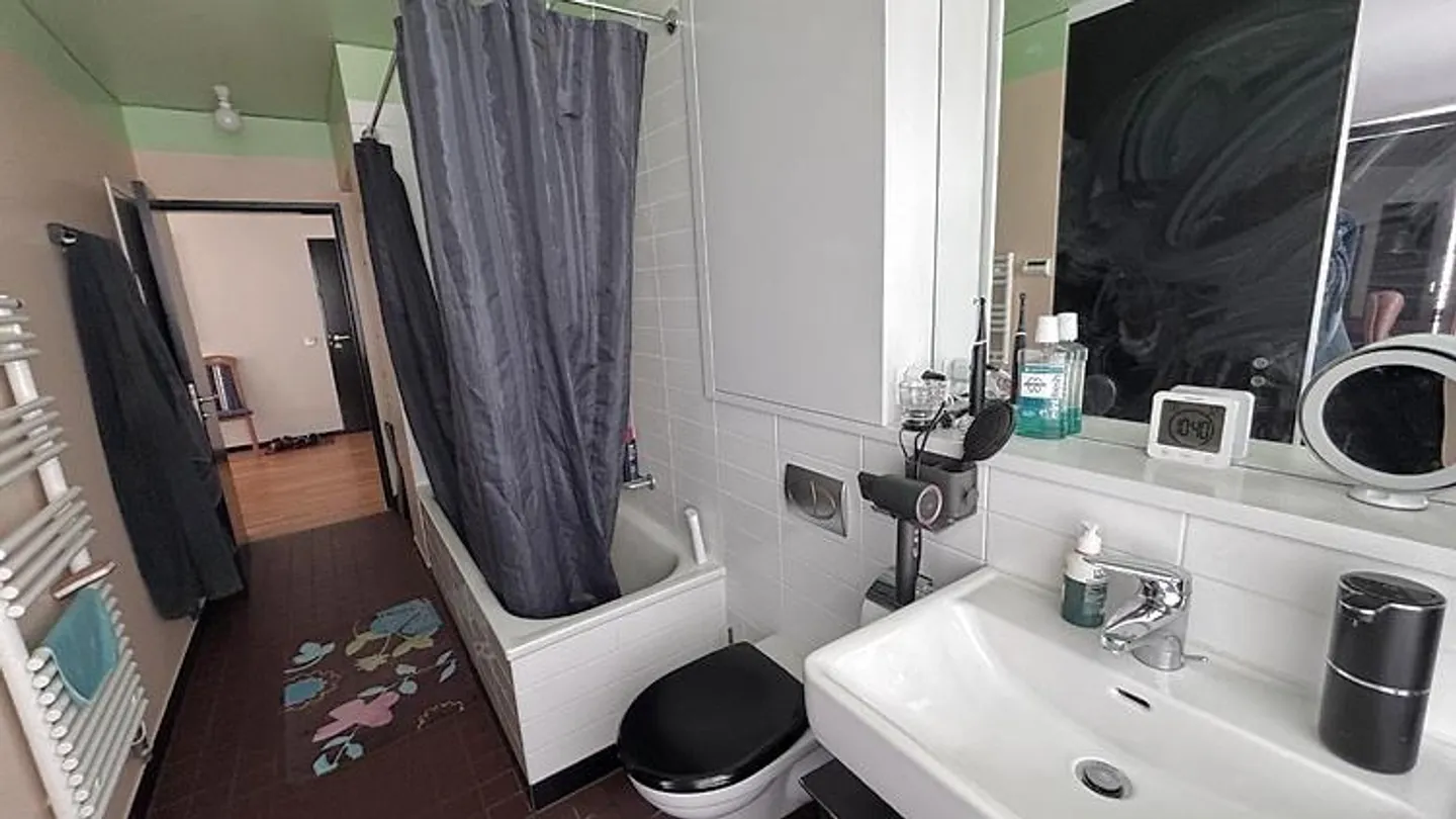 2½ ROOM APARTMENT IN ZURICH - DISTRICT 9 ALBISRIEDEN, FURNISHED, TEMPORARY - Photo 8 of 10