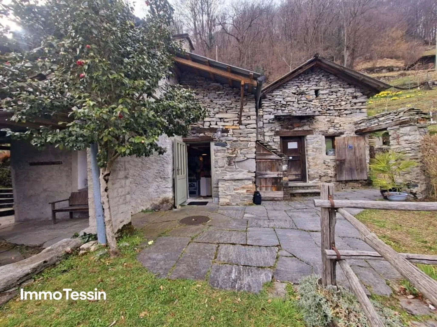 Charming and stylishly renovated dream rustic with a view of the Verzasca dam and 5800 m2 of natural land - Photo 4 of 13