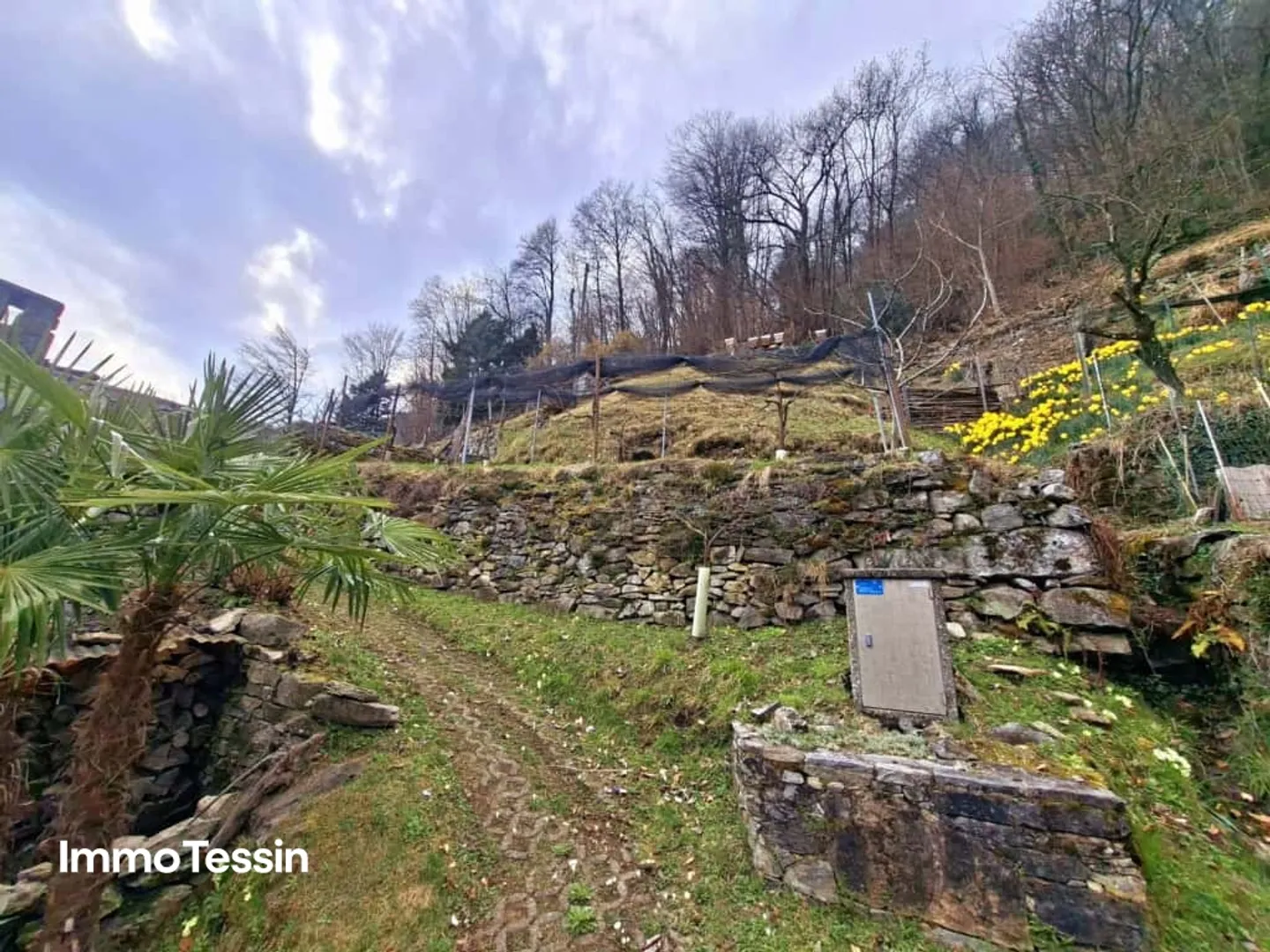 Charming and stylishly renovated dream rustic with a view of the Verzasca dam and 5800 m2 of natural land - Photo 6 of 13