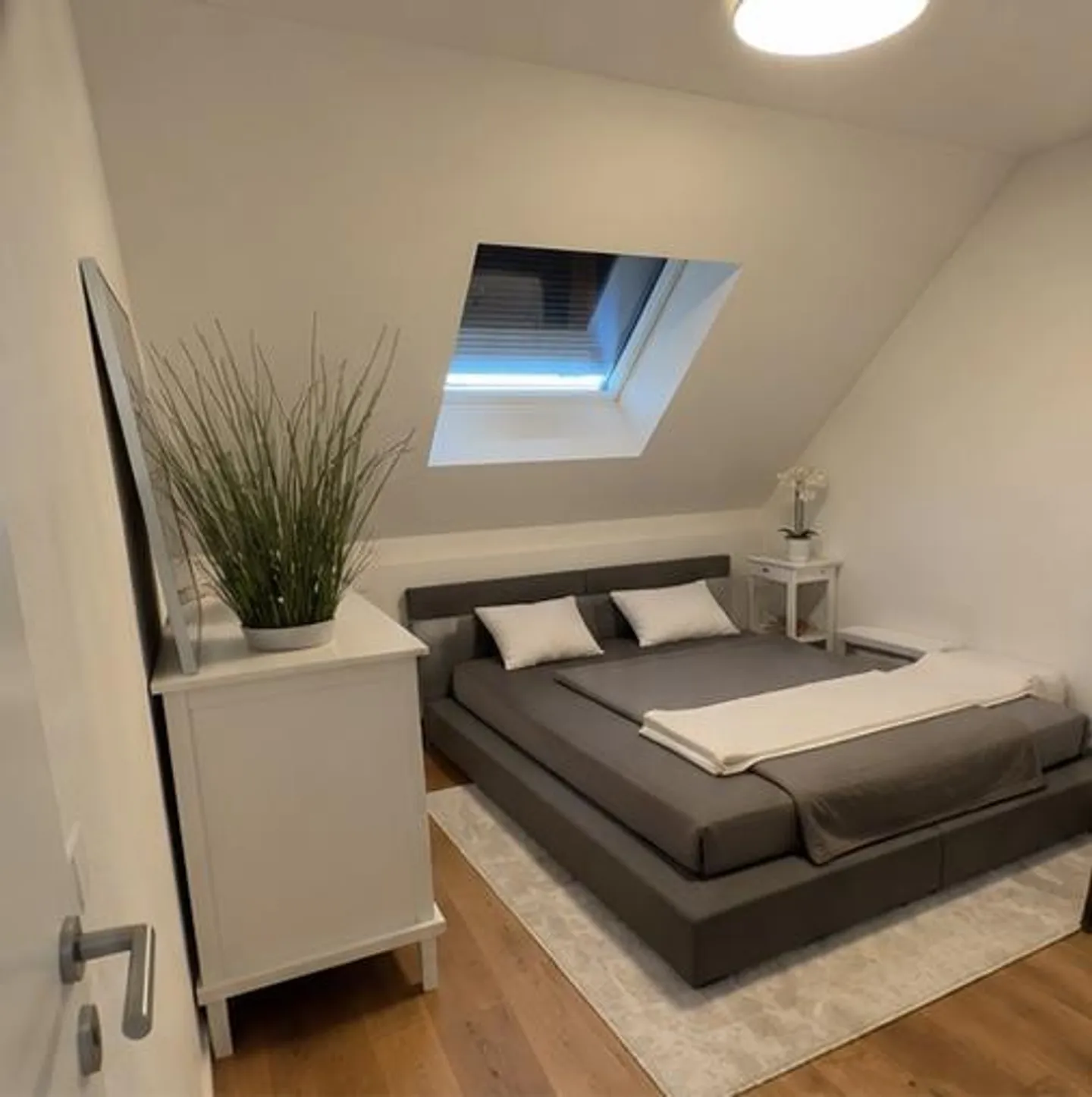 Appartamento 2.5 stanze - Foto 6 di 6