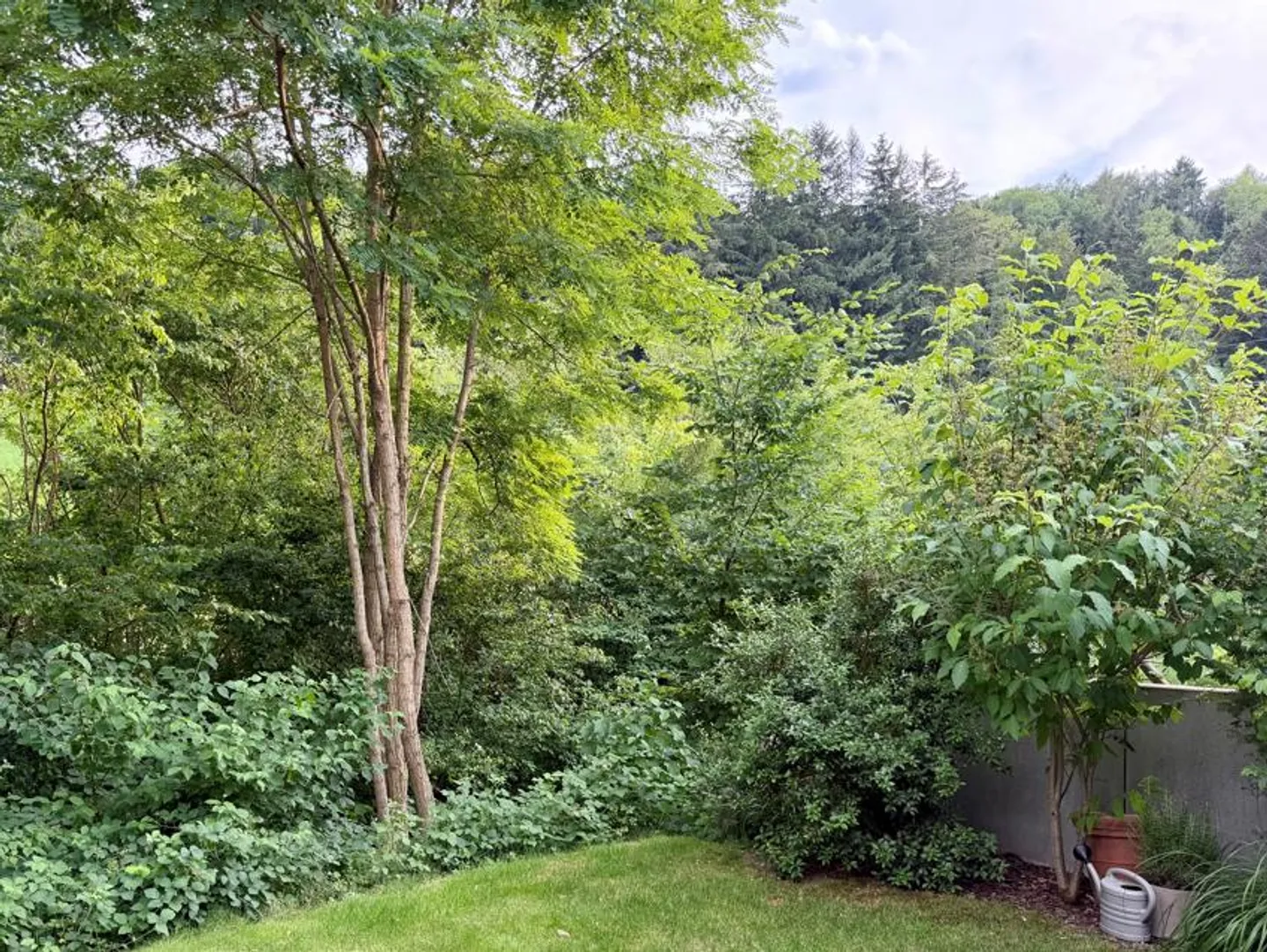 Charmantes Einfamilienhaus in der Natur - Foto 4 von 8