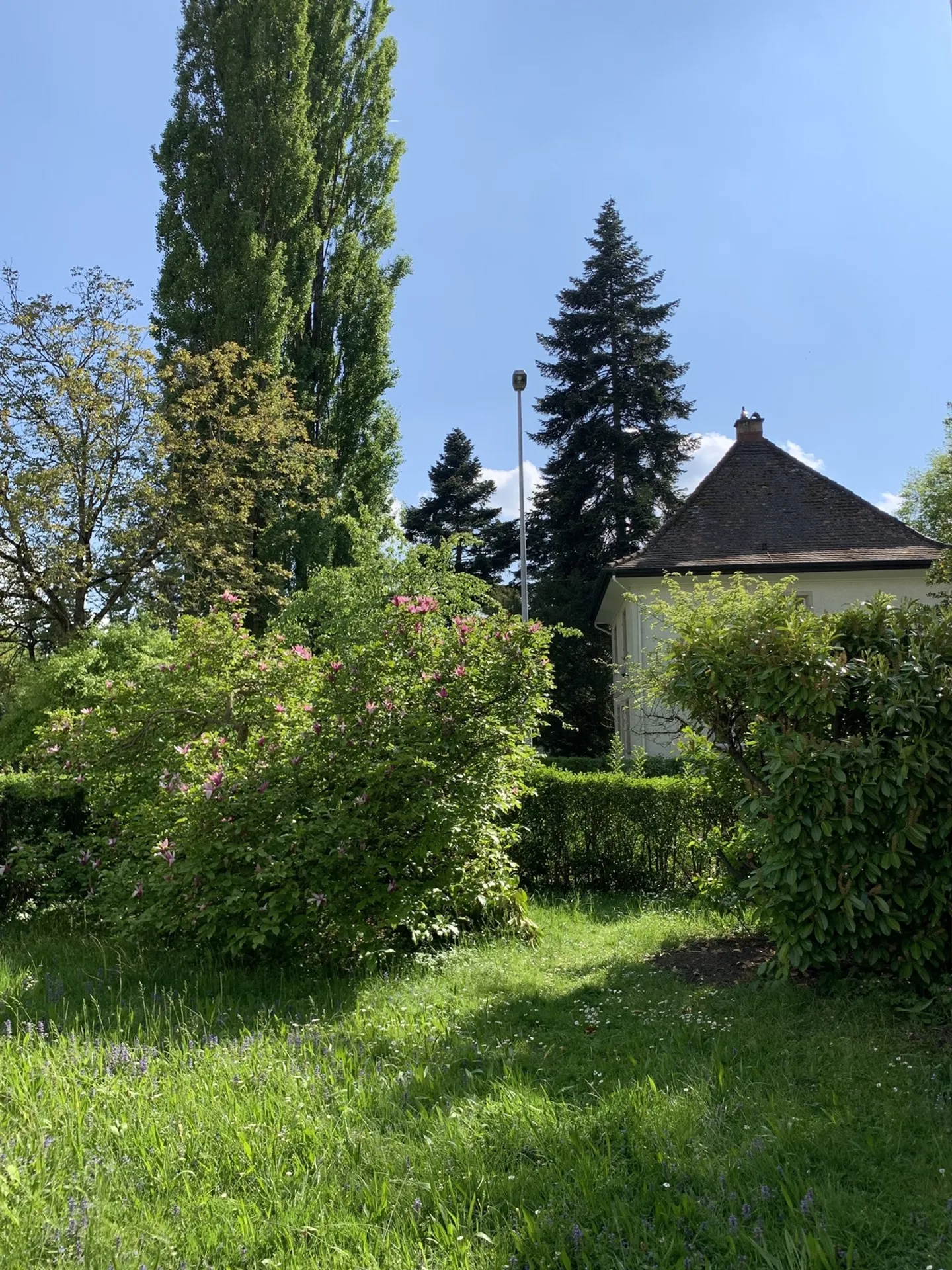 Appartement 4 pièces à Wettingen (AG), meublé, temporaire - Photo 9 sur 9