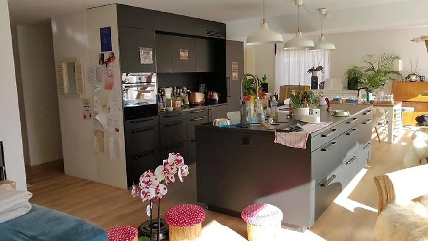 Charmantes Haus für Katzenliebhaber - Foto 3 von 12