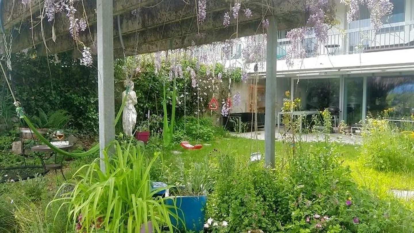 Charmantes Haus für Katzenliebhaber - Foto 11 von 12