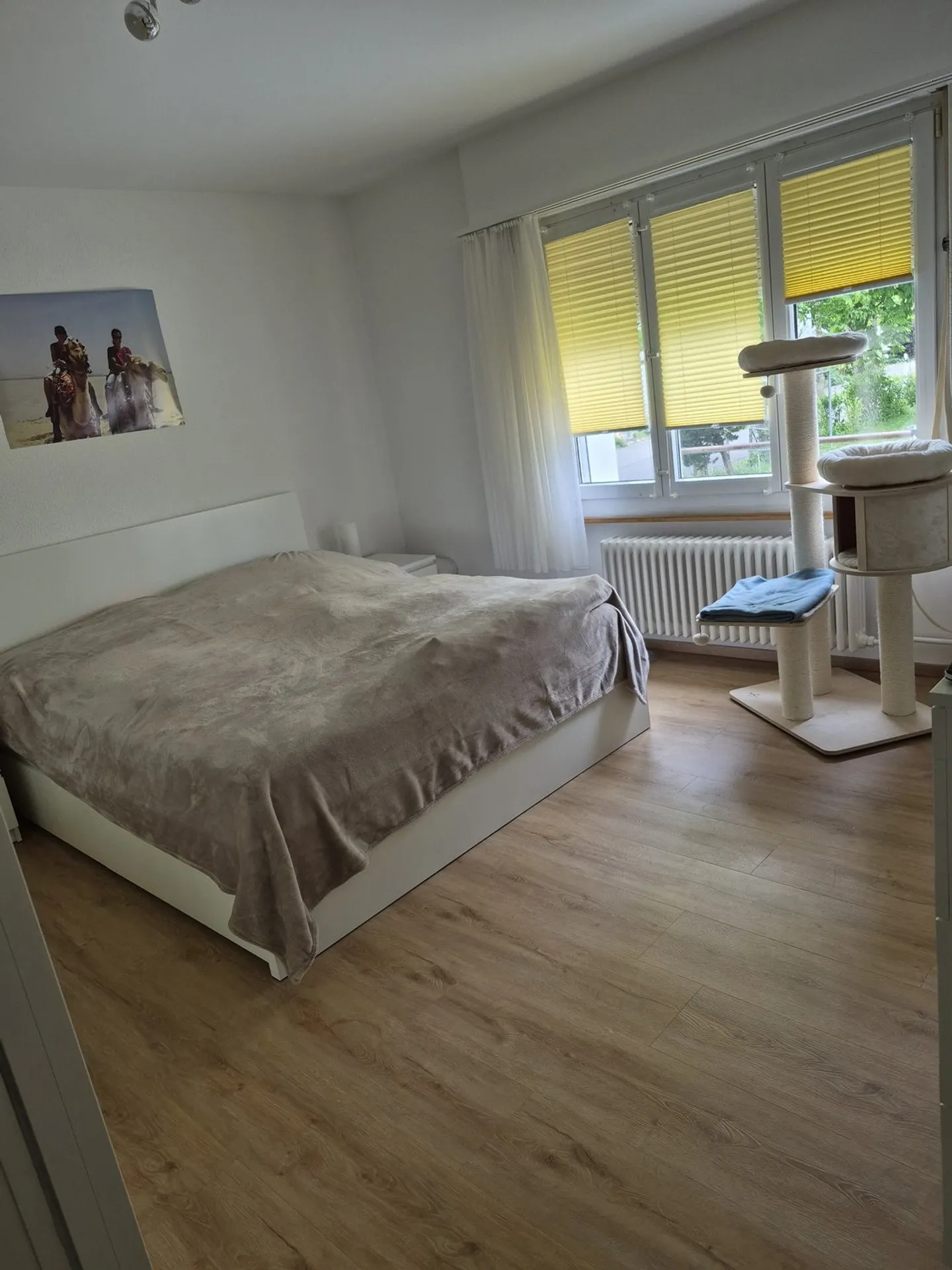 Wohlfühlwohnung mit Charme im beliebten Feldegg-Quartier - Foto 3 von 8