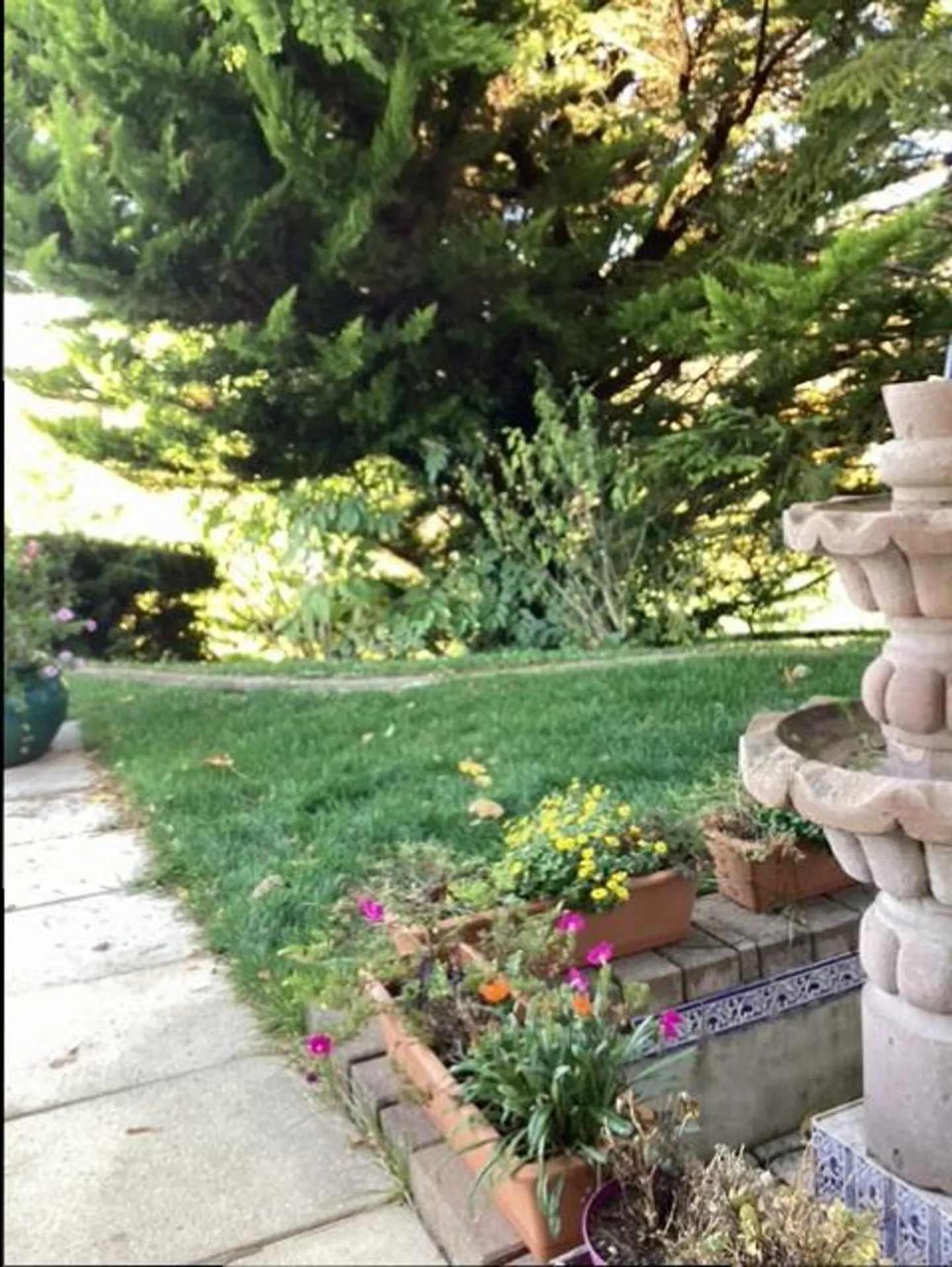 APPARTEMENT DE 3.5 PIECES DANS VILLA - Photo 8 sur 9