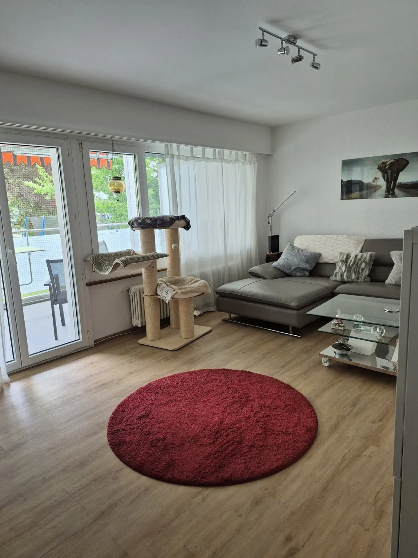 Wohlfühlwohnung mit Charme im beliebten Feldegg-Quartier - Foto 5 von 8