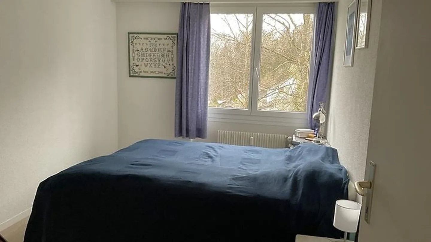 3½ ROOM APARTMENT IN KEHRSATZ (BE), FURNISHED, TEMPORARY - Photo 4 of 9