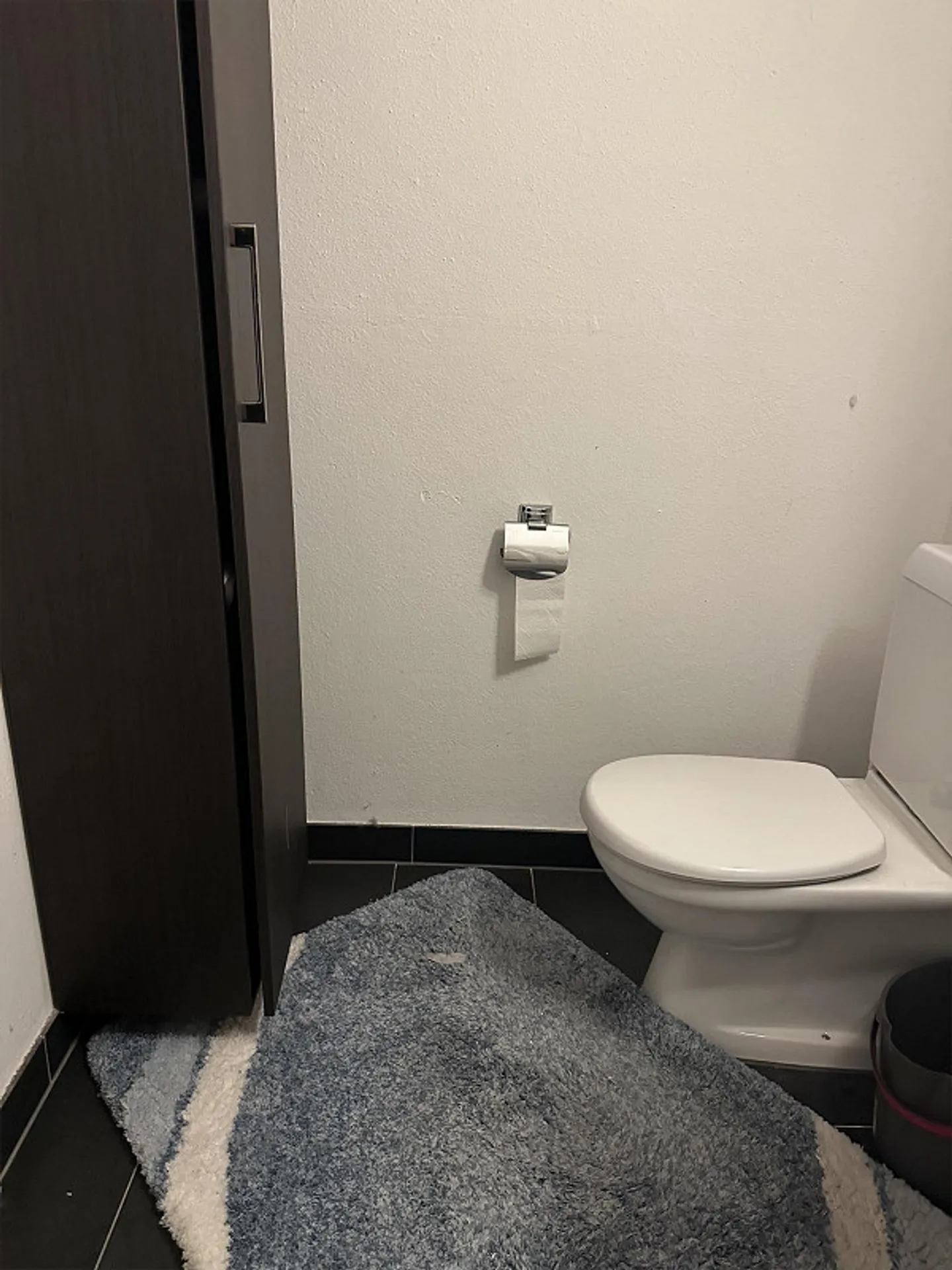 2.5 room apartment - Photo 2 of 9