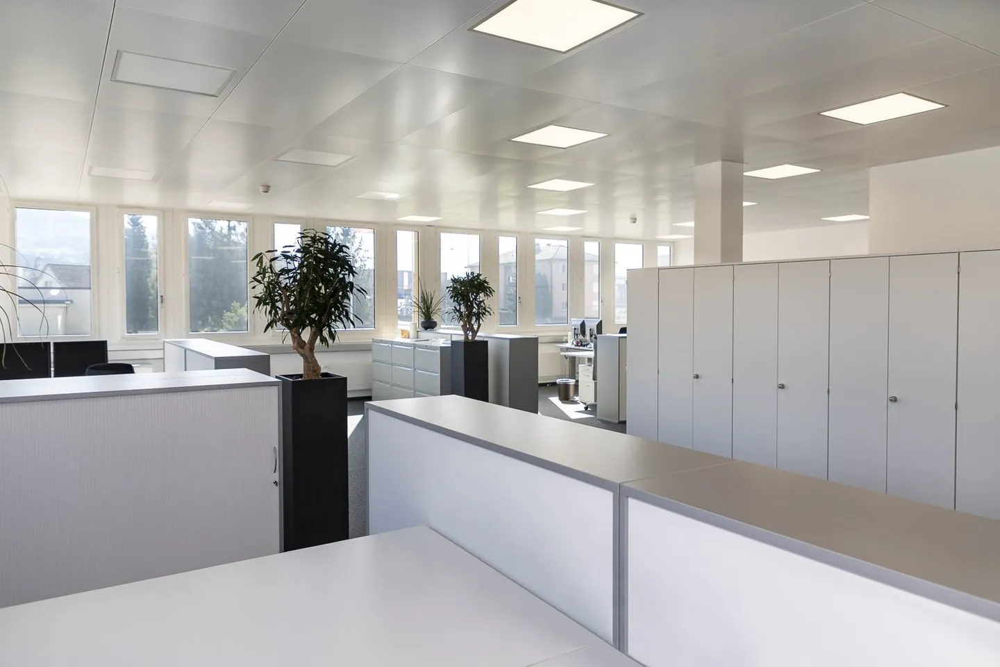 M-Bau - Foto 3 von 11