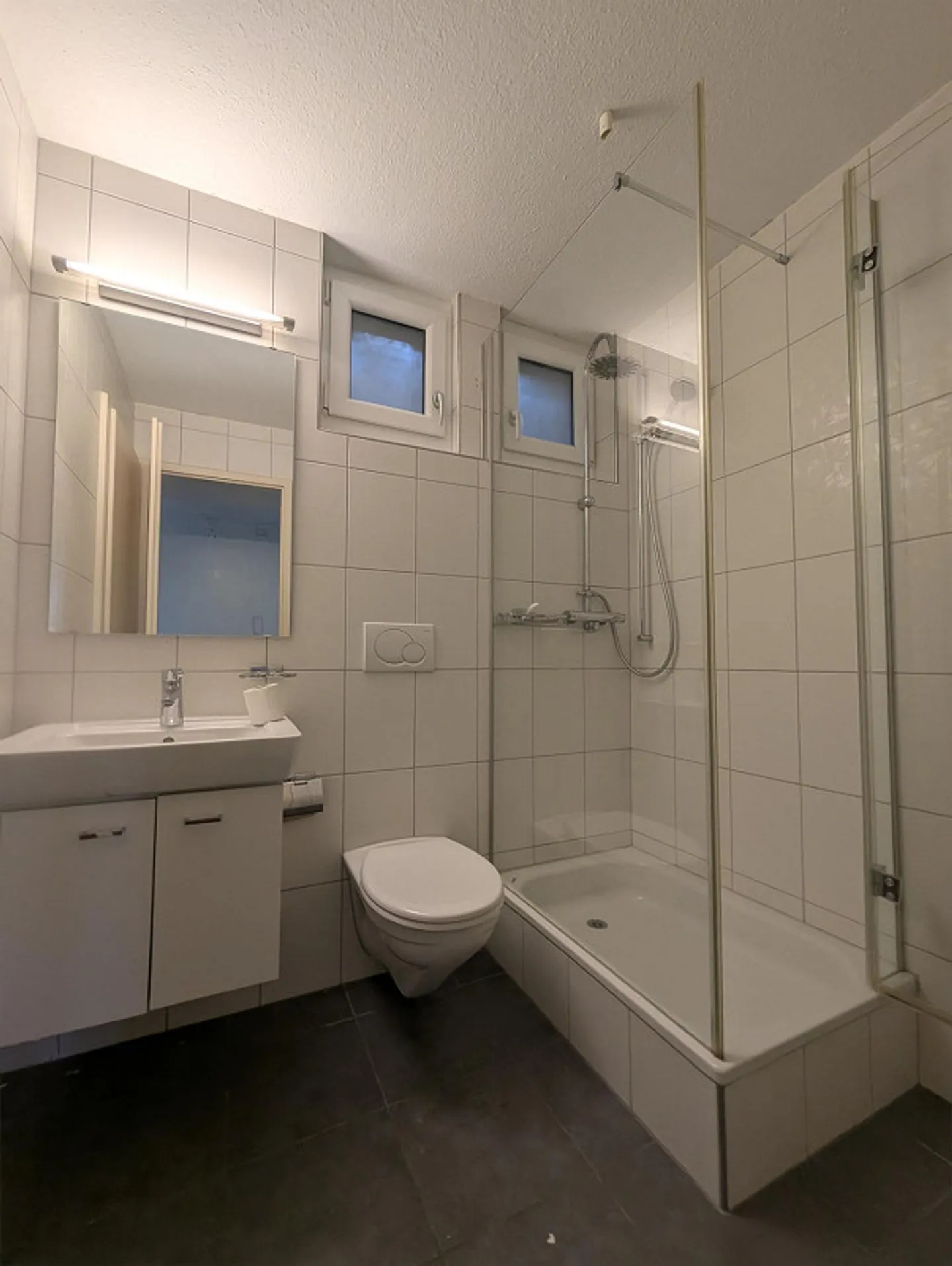 Maison individuelle de 8 1/2 pièces avec vue imprenable sur le lac et la montagne - Photo 5 sur 27