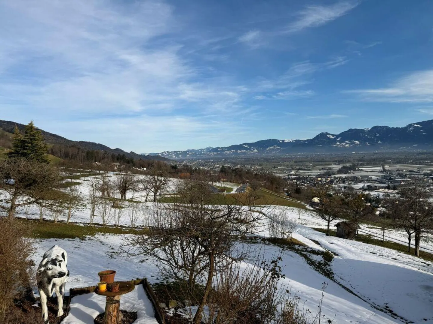 Casa unifamiliare sopra Altstätten con vista sulla valle del Reno - Foto 4 di 11