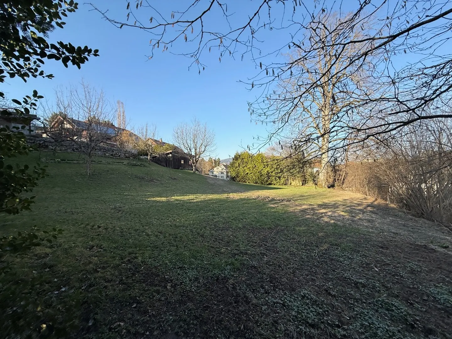 Terreno edificabile senza sviluppo - Foto 3 di 3
