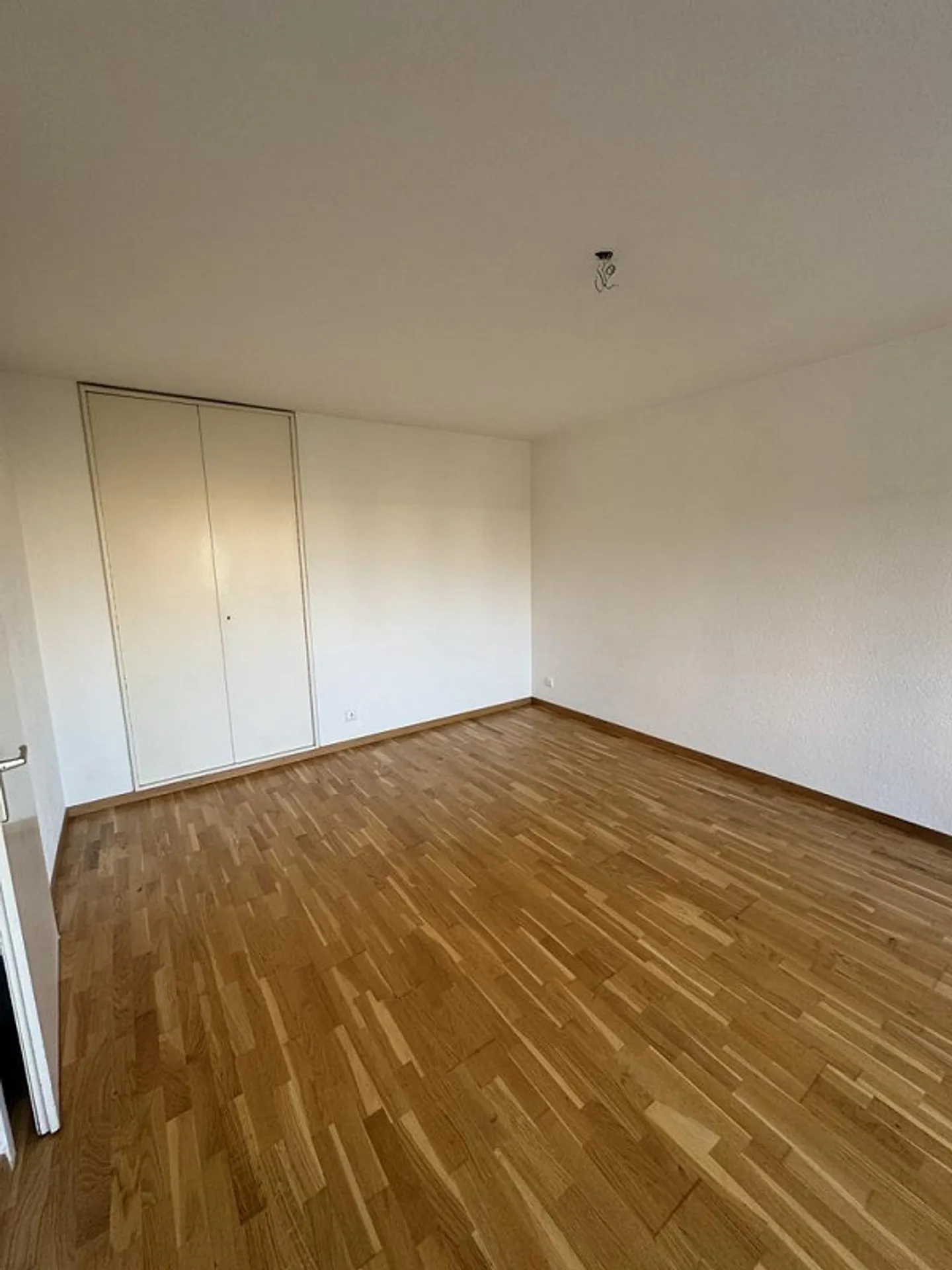 Central Residential Location near Albisriederplatz - Photo 4 of 5