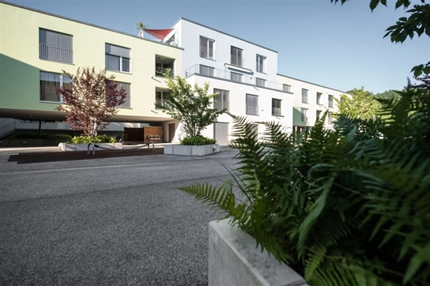 «Perfekt als 1. eigene Wohnung» - Foto 1 von 1