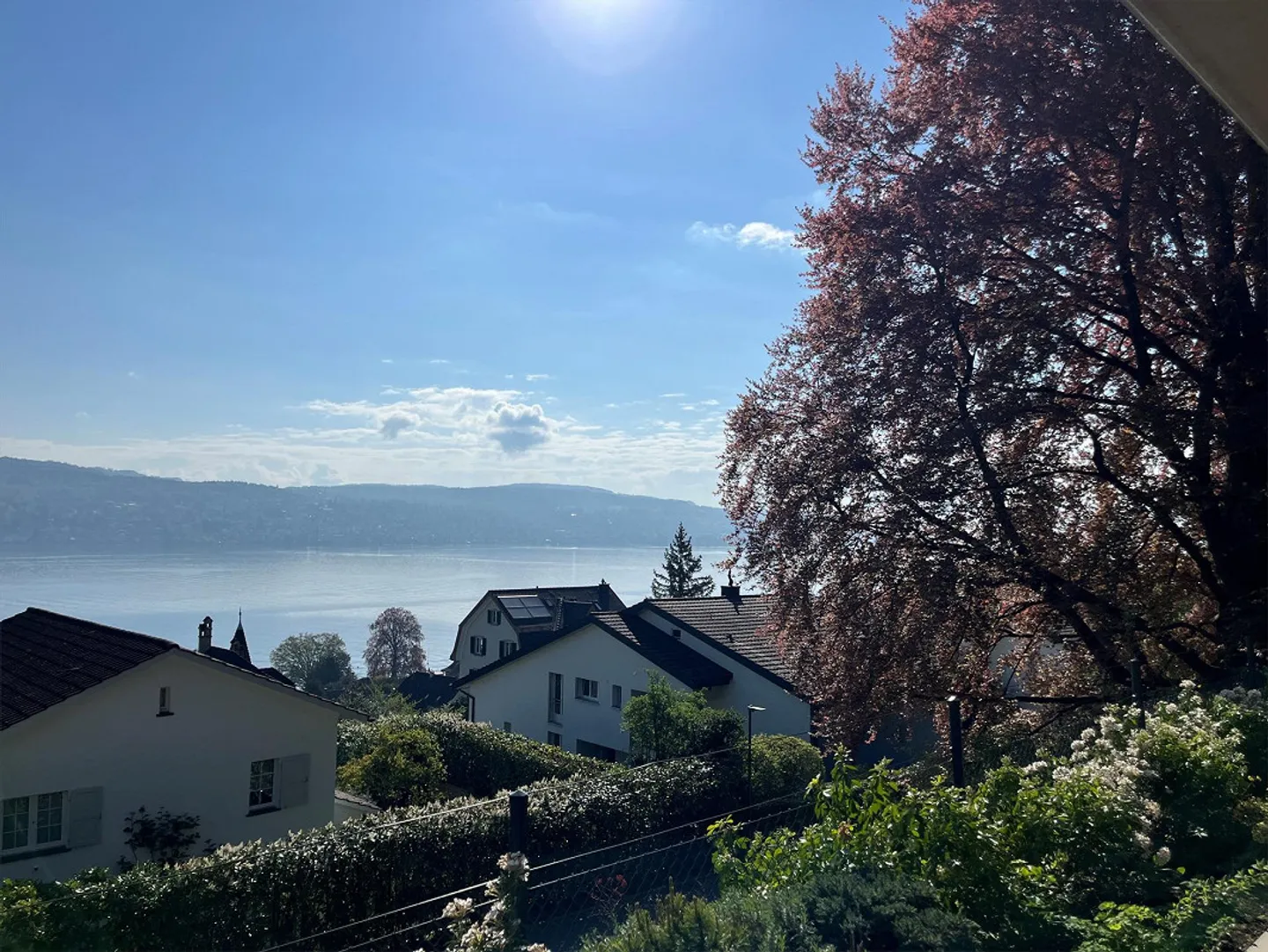 Appartamento esclusivo di 3,5 locali con vista lago in un complesso di giardino ben curato - Foto 8 di 8