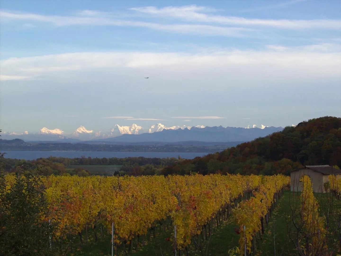 Semi-detached villa with 5.5 rooms on the heights of Boudry - Photo 11 of 11